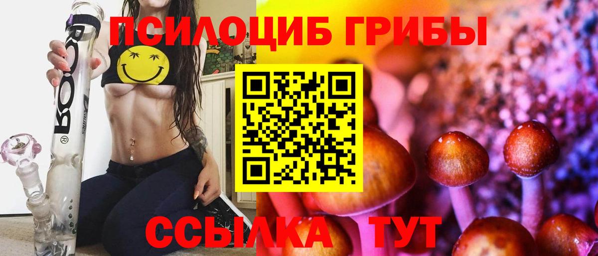 Галлюциногенные грибы Psilocybine cubensis  Галлюциногенные грибы Magic Shrooms  Вход с VPN  Россия 